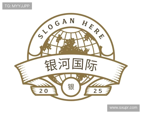 介绍中国·银河集团